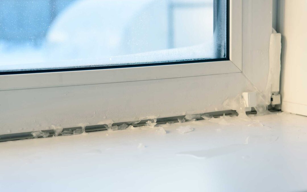 5 Tips: How to Clean & Maintain Your Windows for Maximum Lifespan