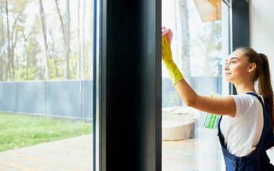 The Importance of Regular Window Cleaning