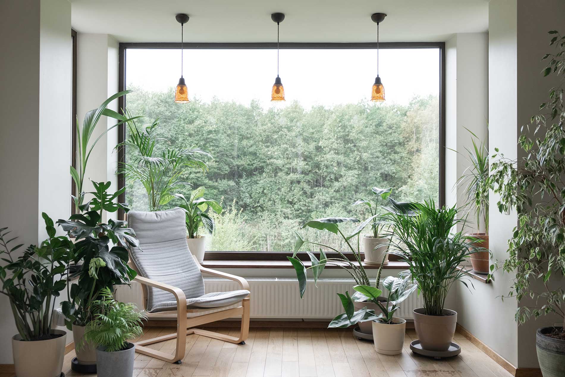 high cieling windows inside a house